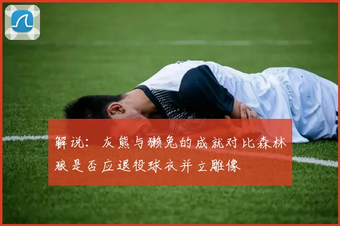 解说：灰熊与獭兔的成就对比森林狼是否应退役球衣并立雕像