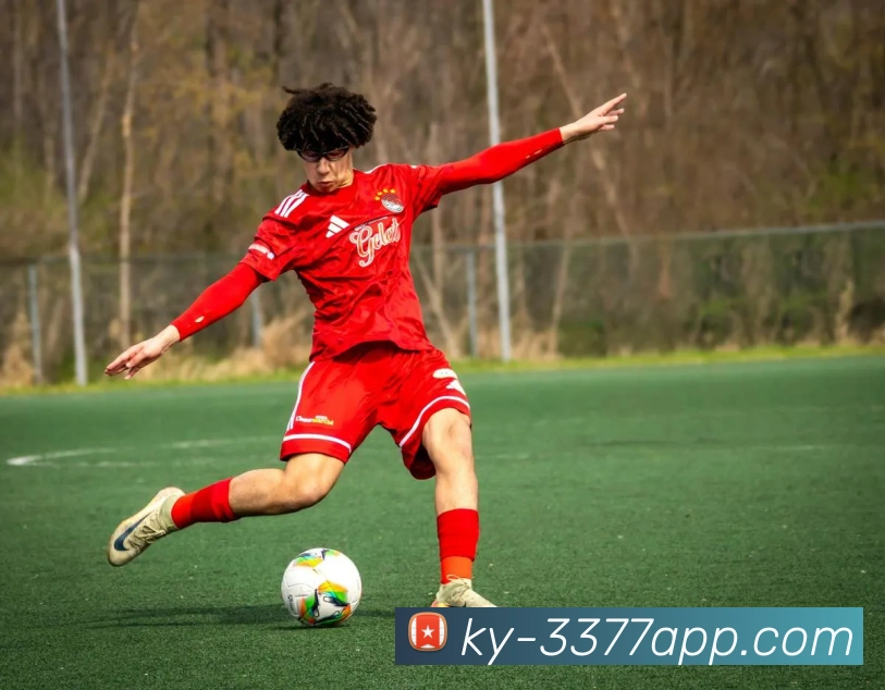 3377体育平台生态图